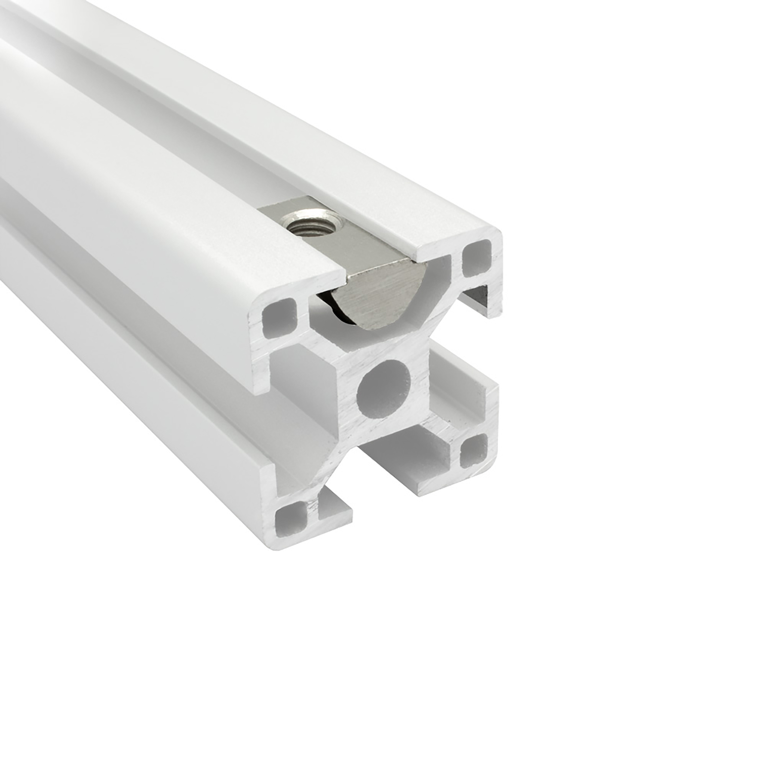 Edelstahl Nutenstein mit Federkugel und Steg M6 Nut 8 für Aluprofil 30-er - 10 Stück