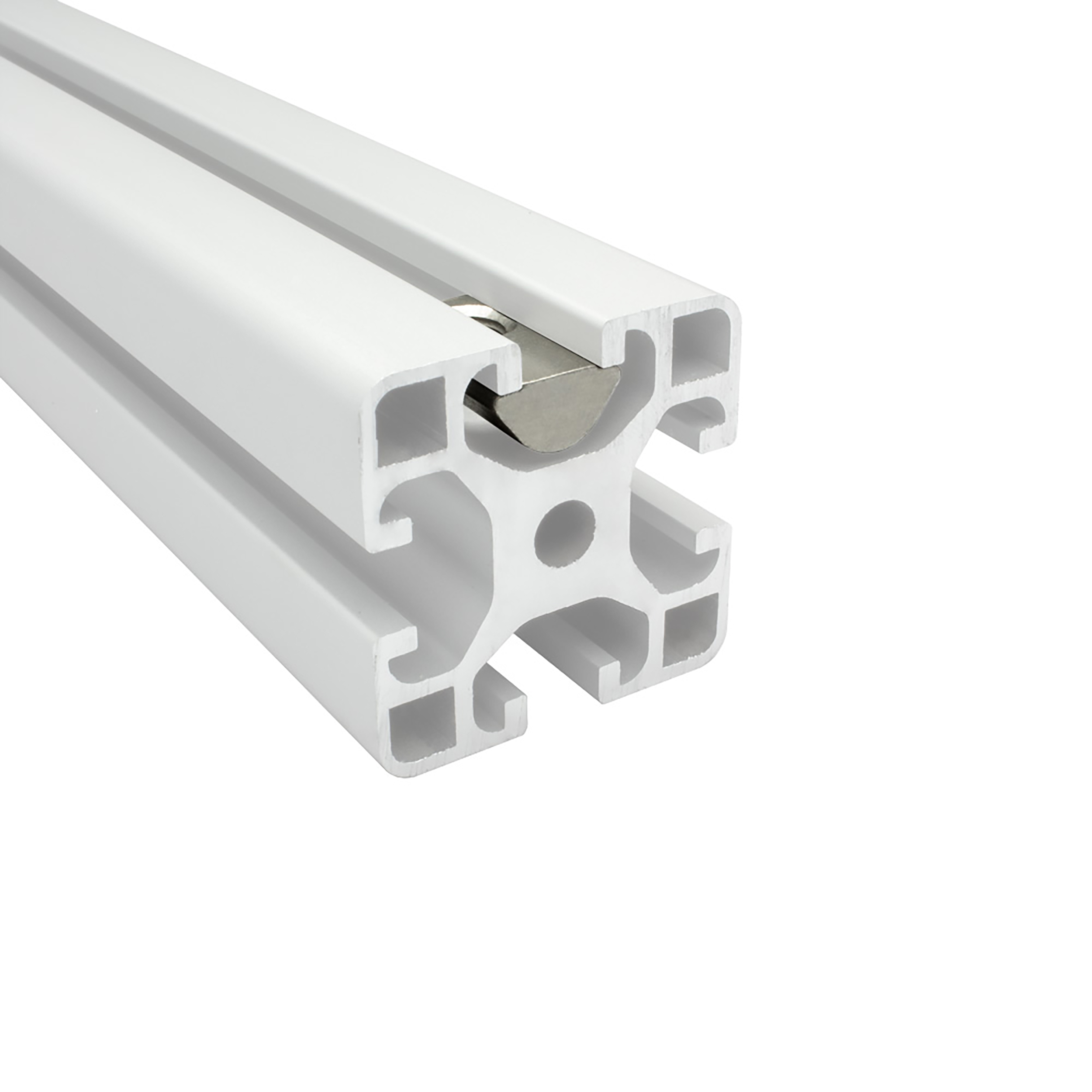 Edelstahl Nutenstein mit Federkugel und Steg M6 Nut 8 für Aluprofil 40-er - 10 Stück