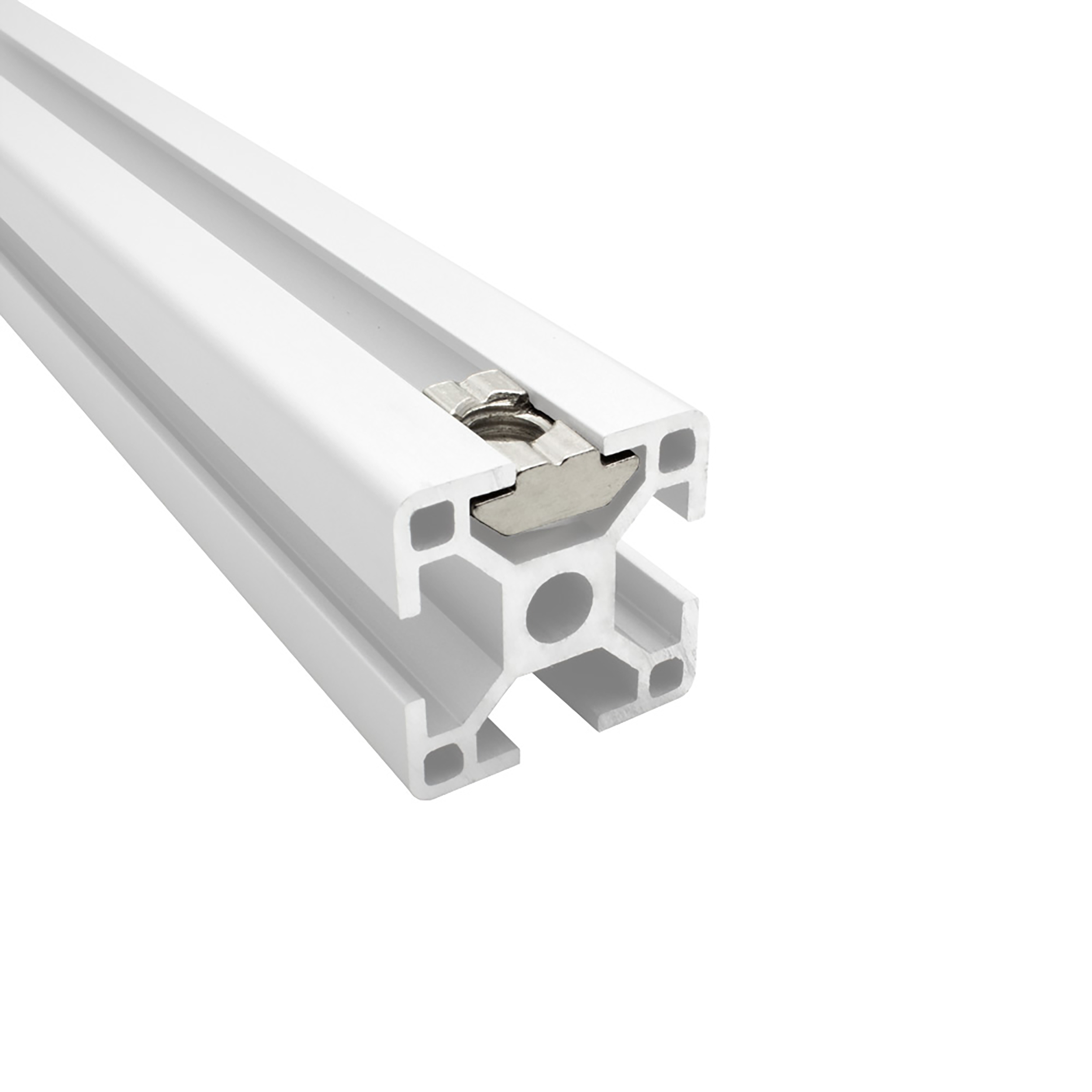 Edelstahl Nutenstein schwer Gleitmutter M6 Nut 8 für Aluprofil 30-er - 10 Stück